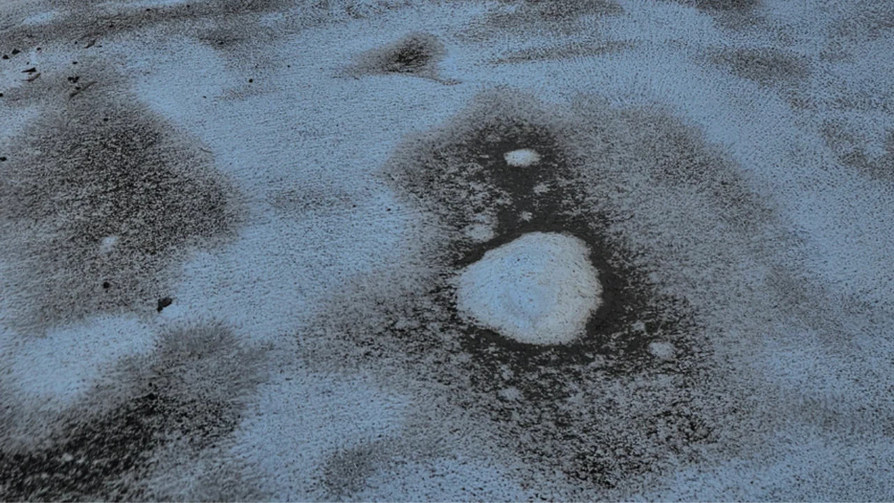 Bubbles and blistered coating on a deteriorated foam roof in Phoenix.