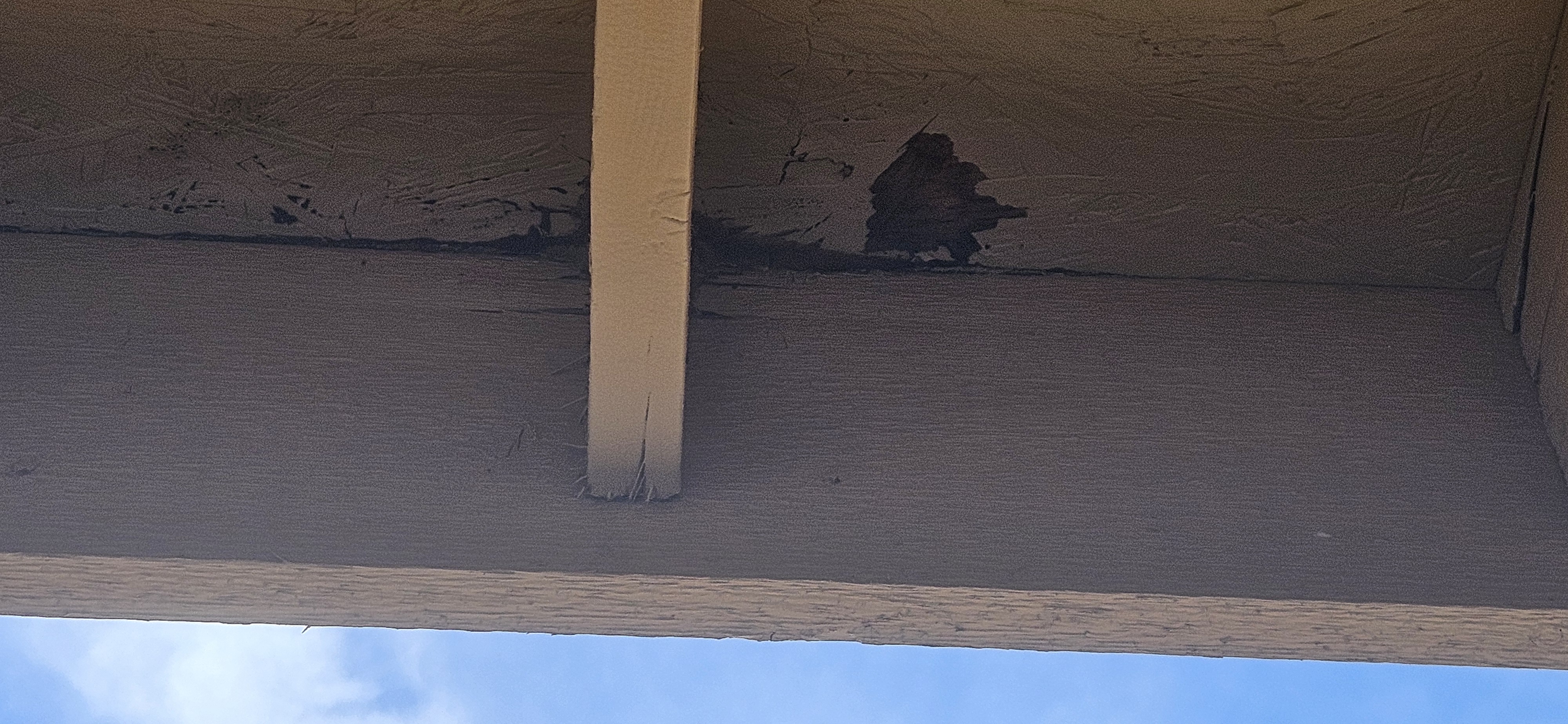 Dark water stain on an interior ceiling caused by an emergency roof leak in Mesa, Arizona.
