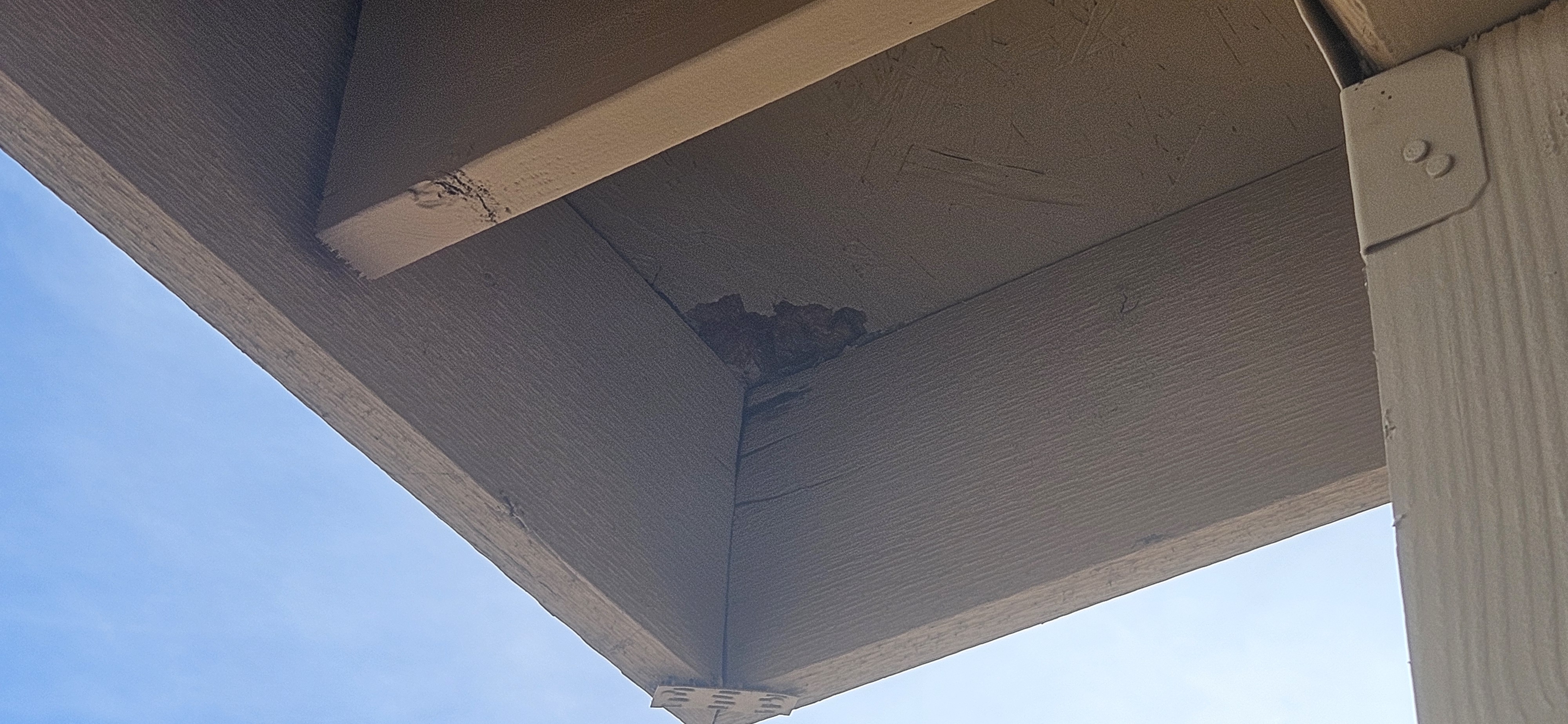 Hidden Roof Leak Signs Phoenix Homeowners Should Check After a Monsoon