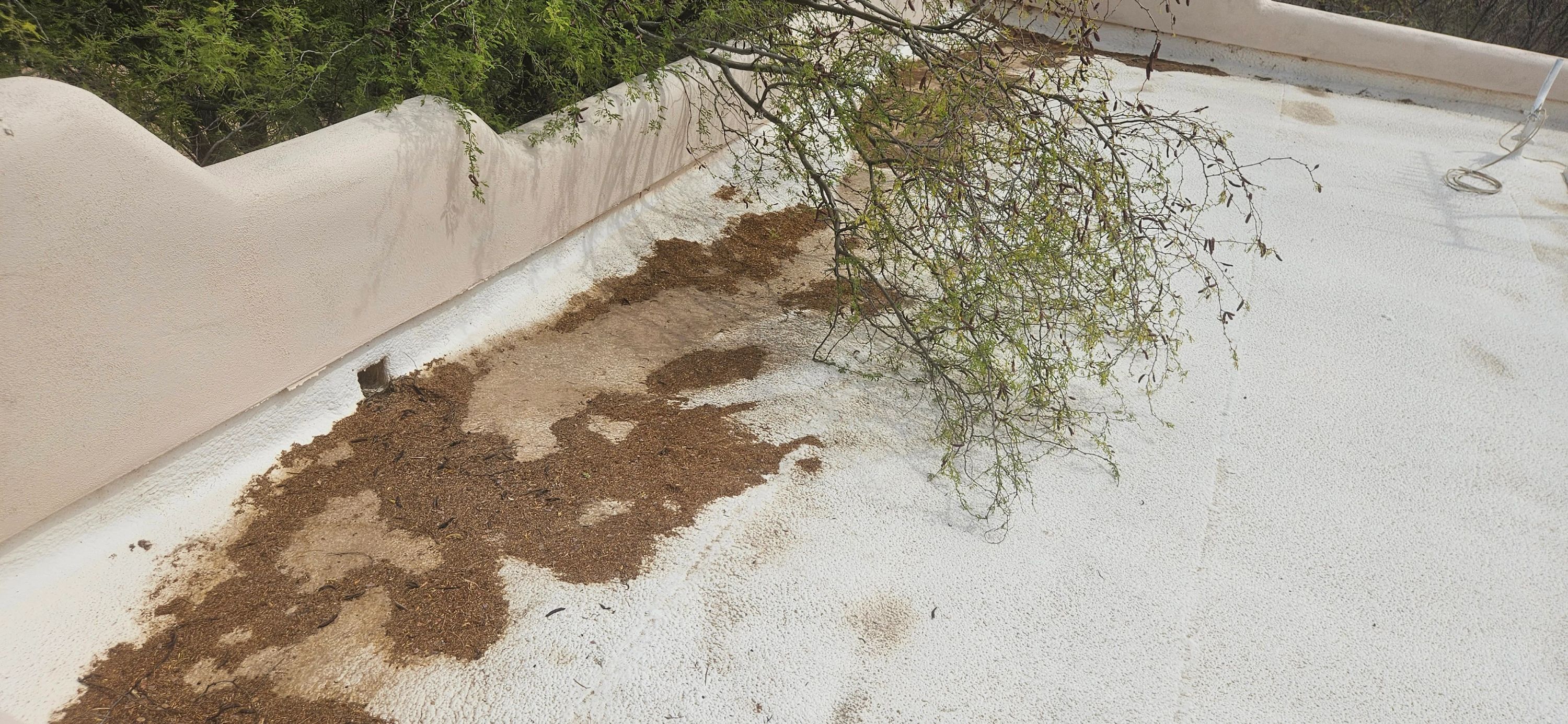 Durafoam Roofing offers free roof inspections in Phoenix for homeowners and realtors.