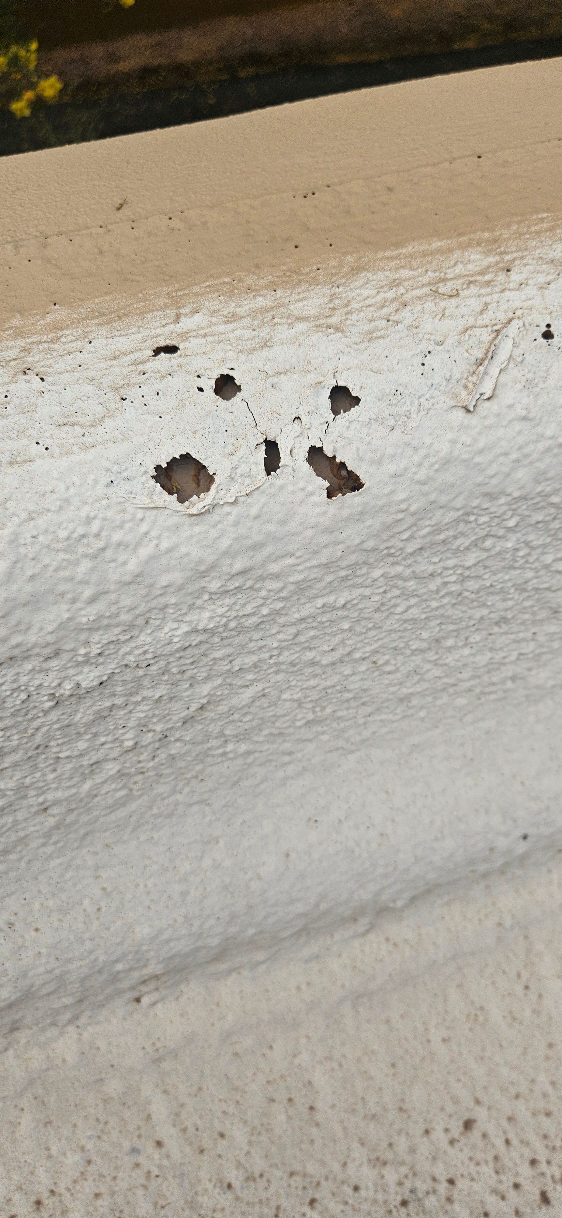 Close-up of a damaged white foam roof in Scottsdale, Arizona, showing bird holes requiring repair by Durafoam Roofing.
