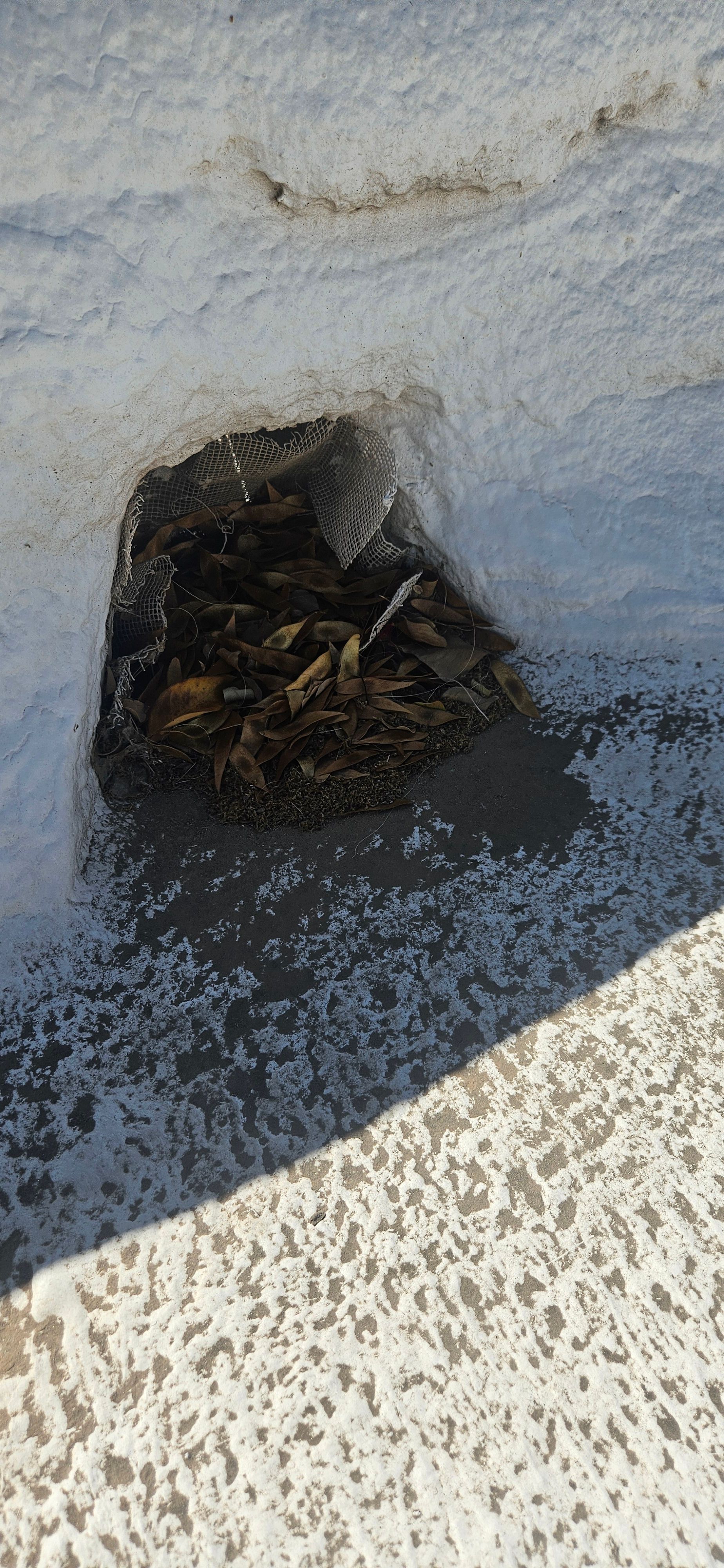 Expert roof leak repair services in Phoenix from Durafoam Roofing.
