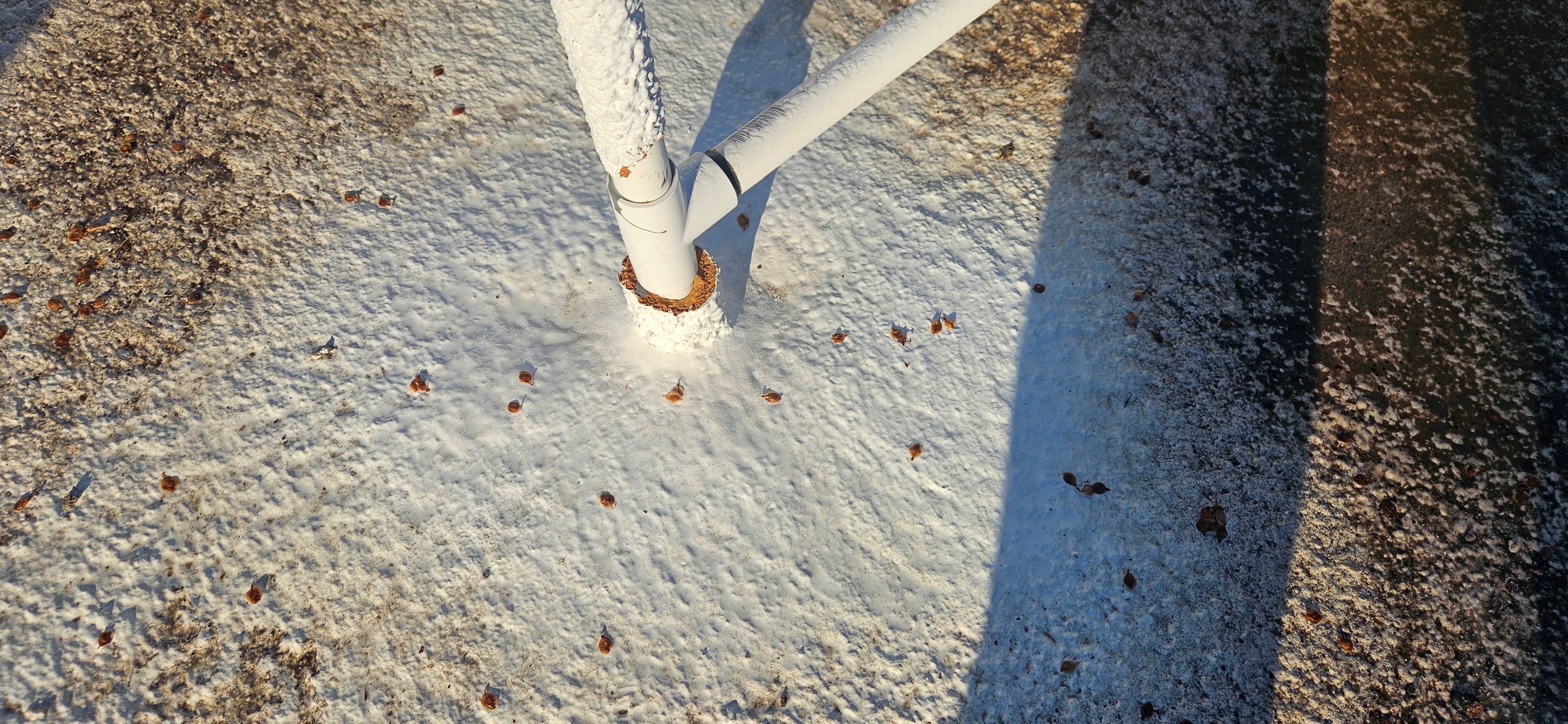 Durafoam Roofing foam roof repair service in Phoenix, Arizona.